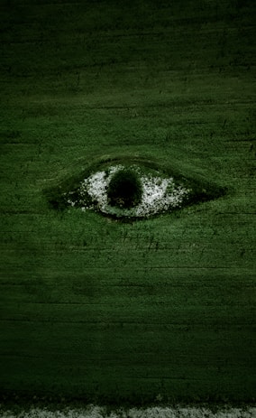 green grass field with water