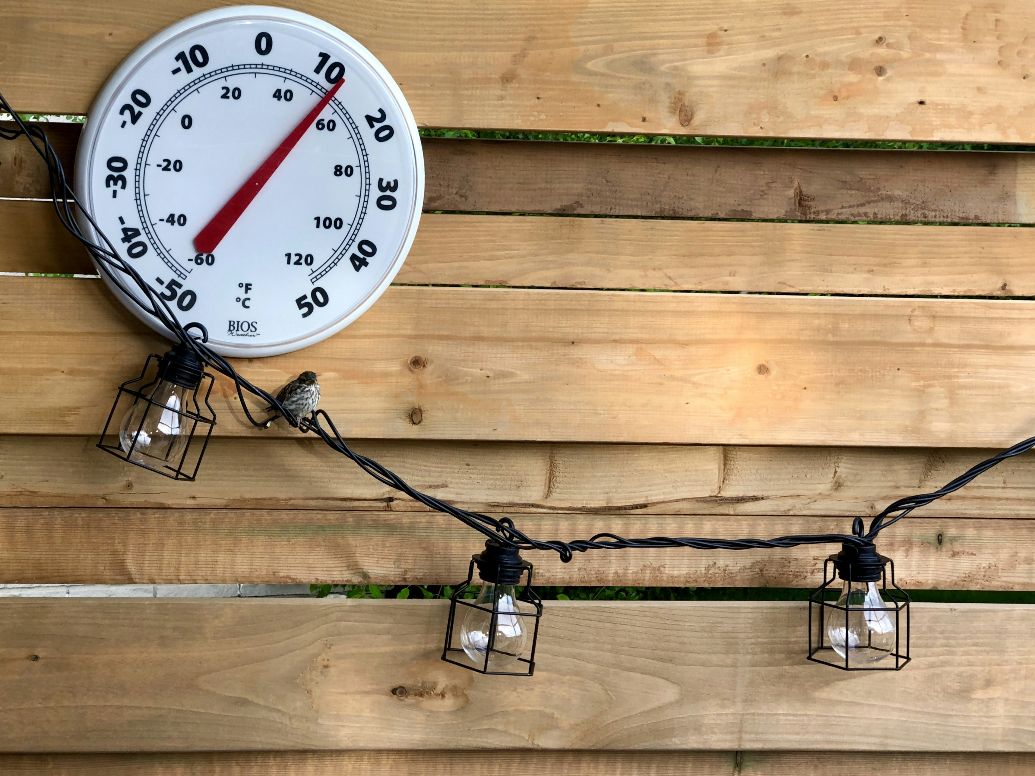 What’s The Ideal Brewing Temperature Range?