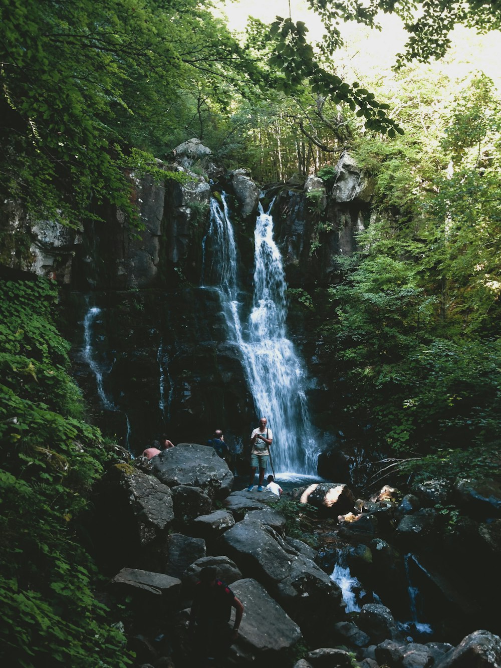 water falls in the middle of green trees