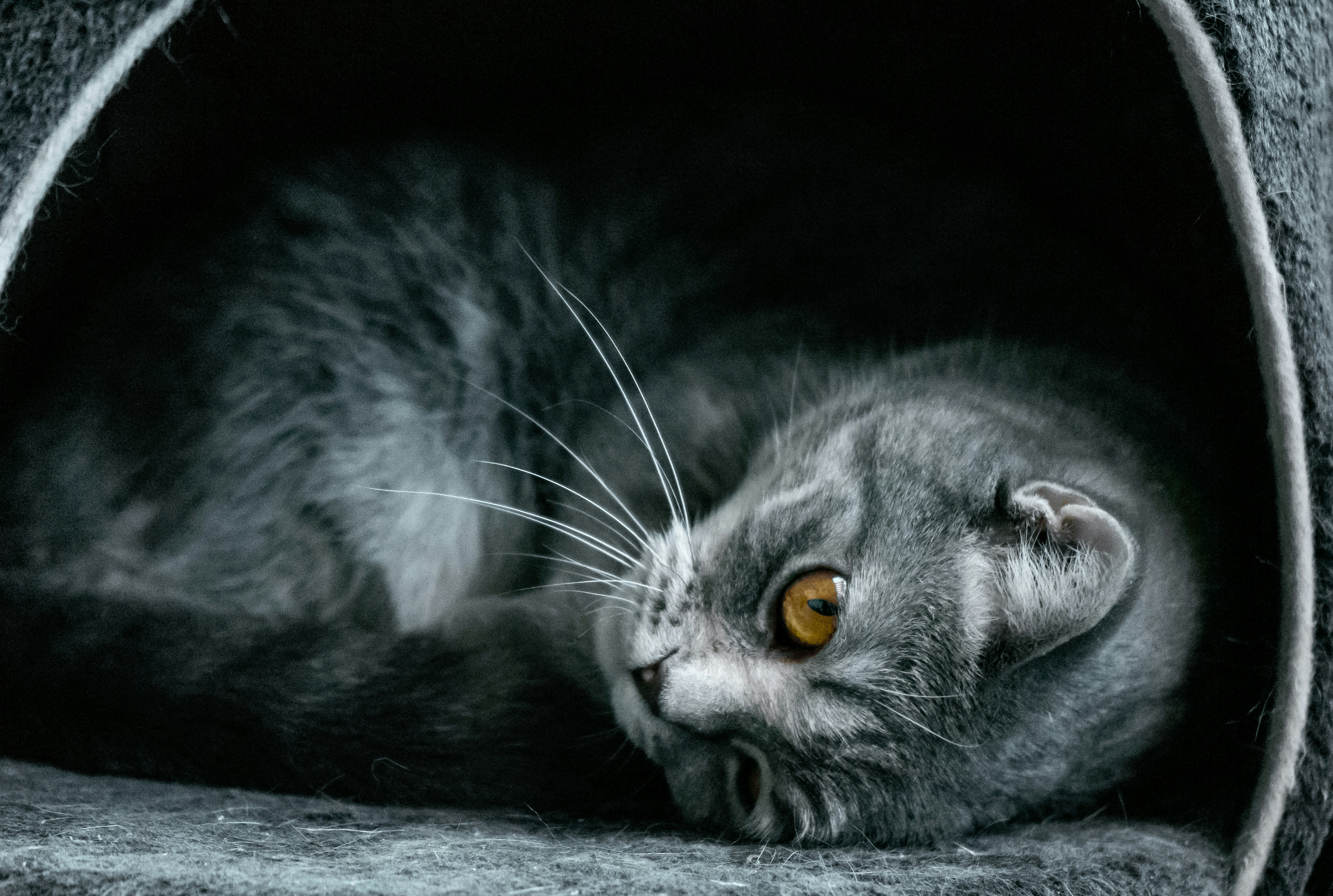 Photo by benjaminmerkle