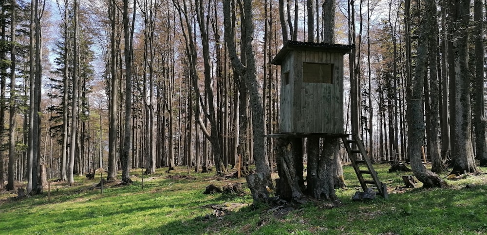 brown wooden house in the middle of forest during daytime