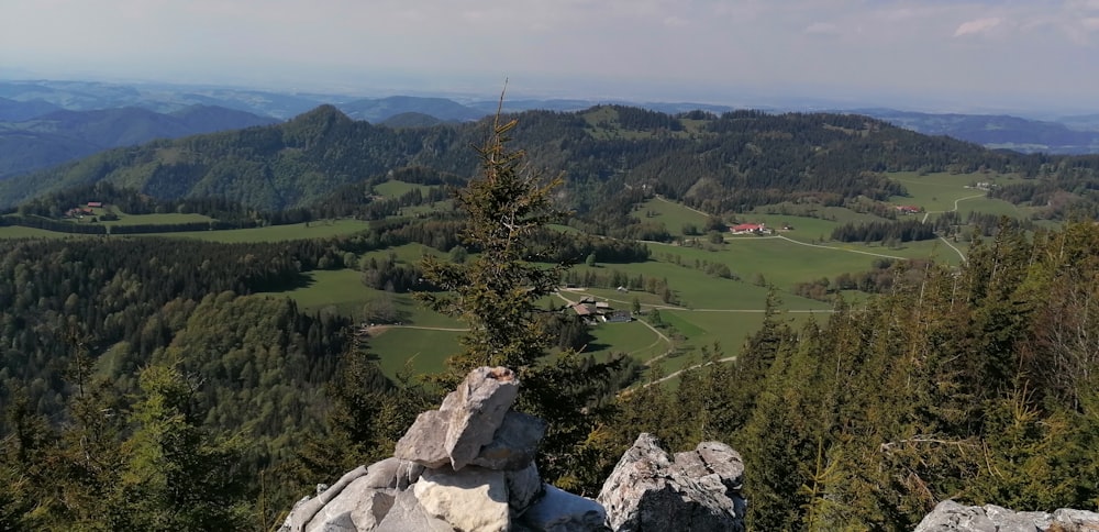 green trees on mountain during daytime