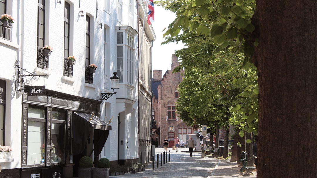 Town photo spot Brugge Ghent