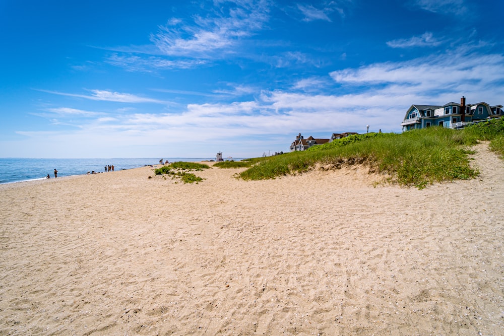 people on beach during daytime