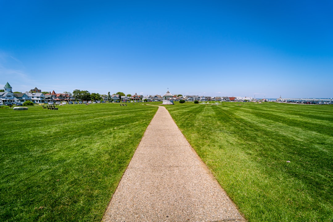 green grass field under blue sky during daytime