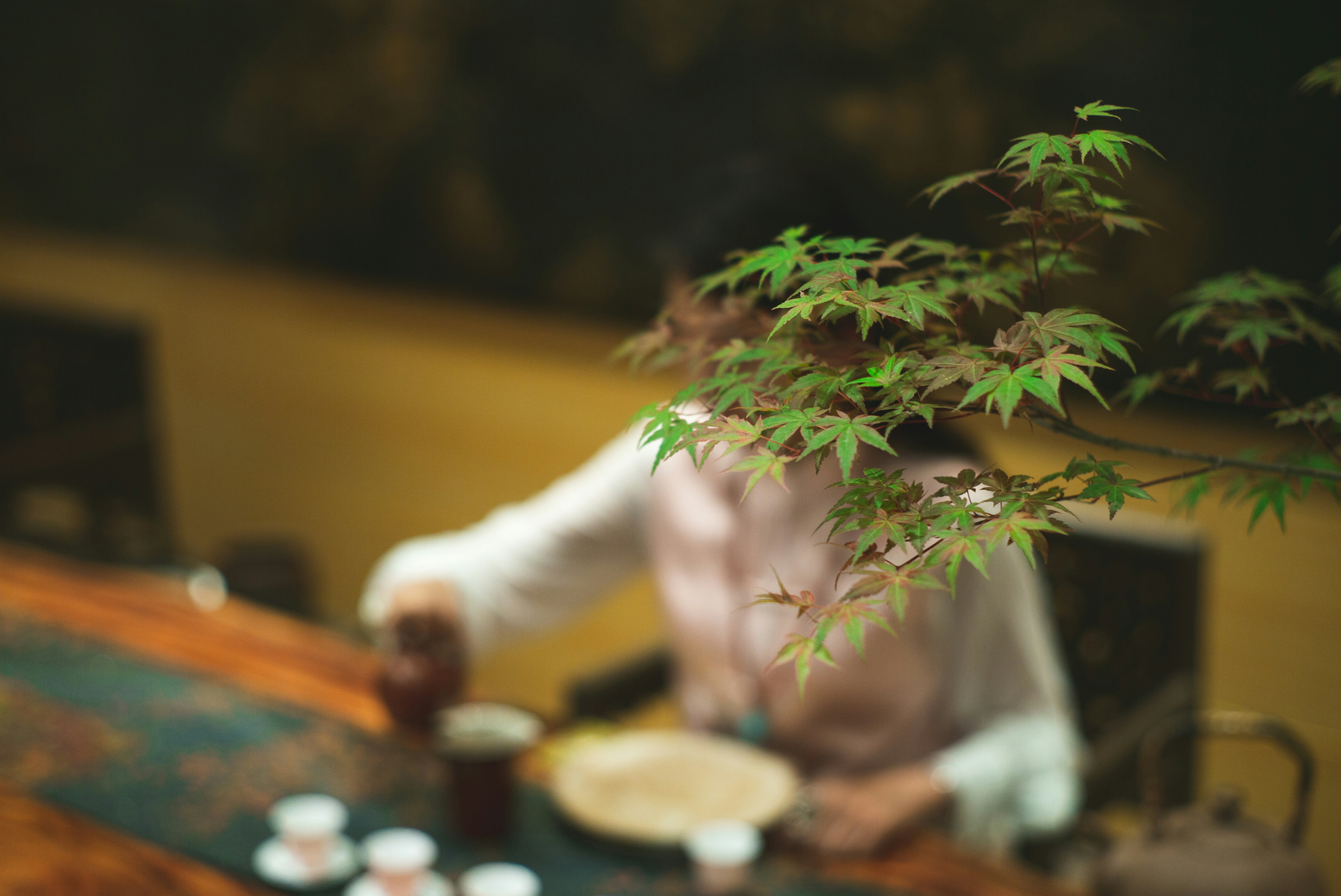 person in white long sleeve shirt holding green plant, a Chinese tea ceremony show