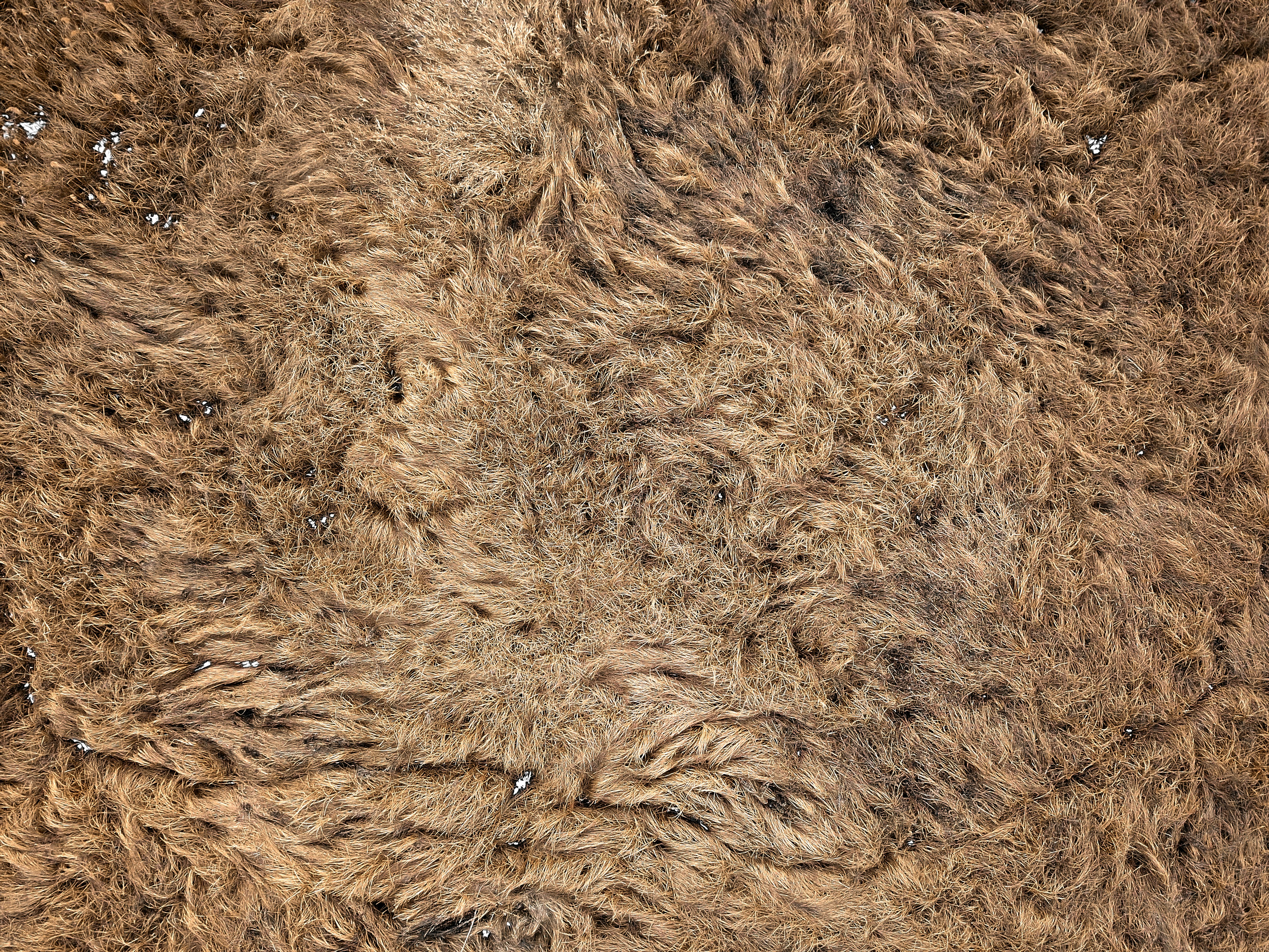 Photo by antonsharov