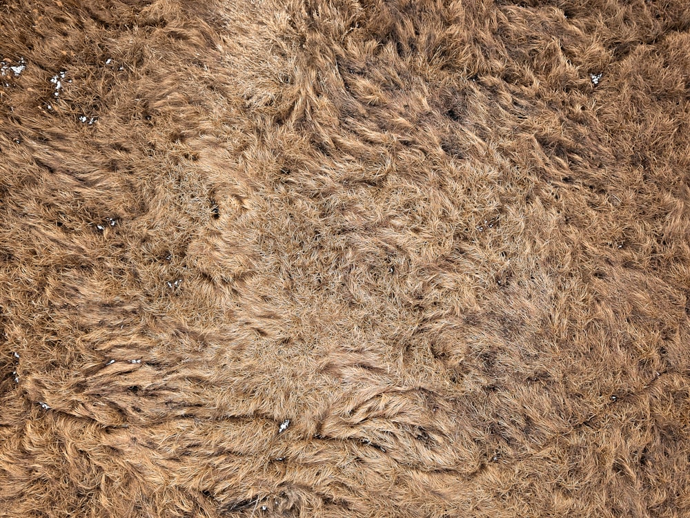 brown thick pile area rug