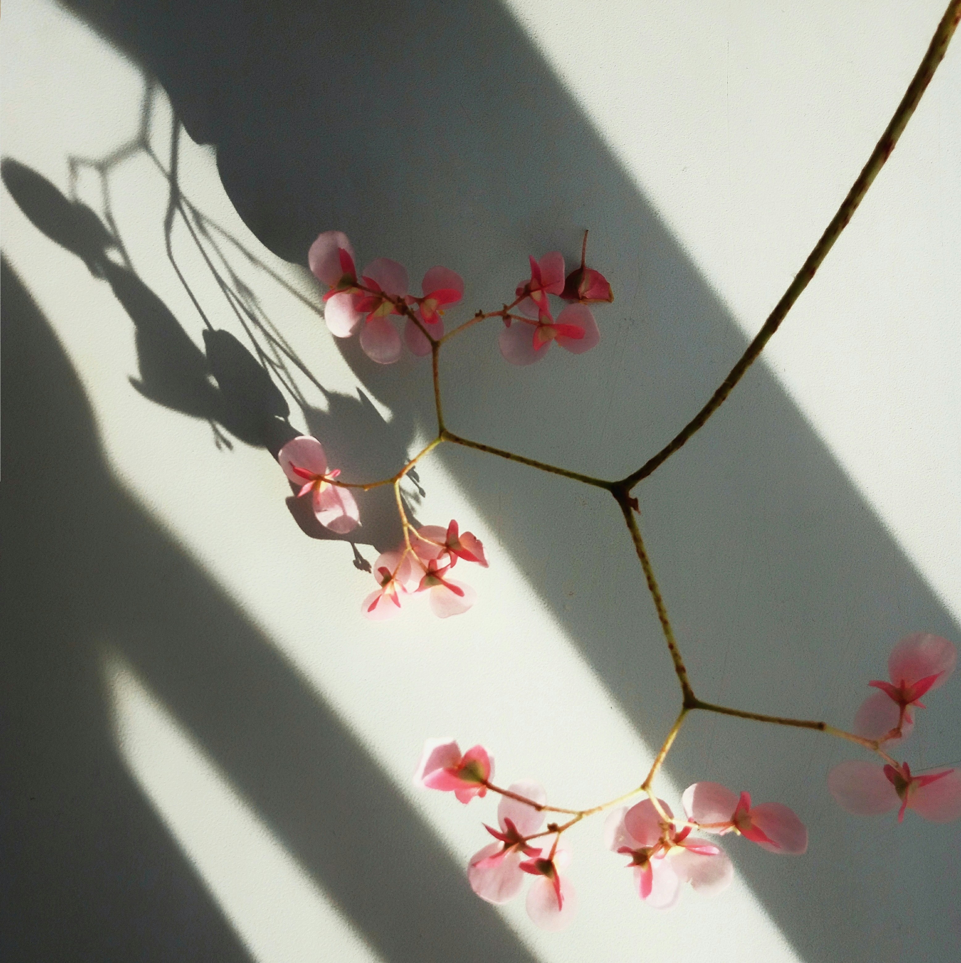 Photo by thealexzharov