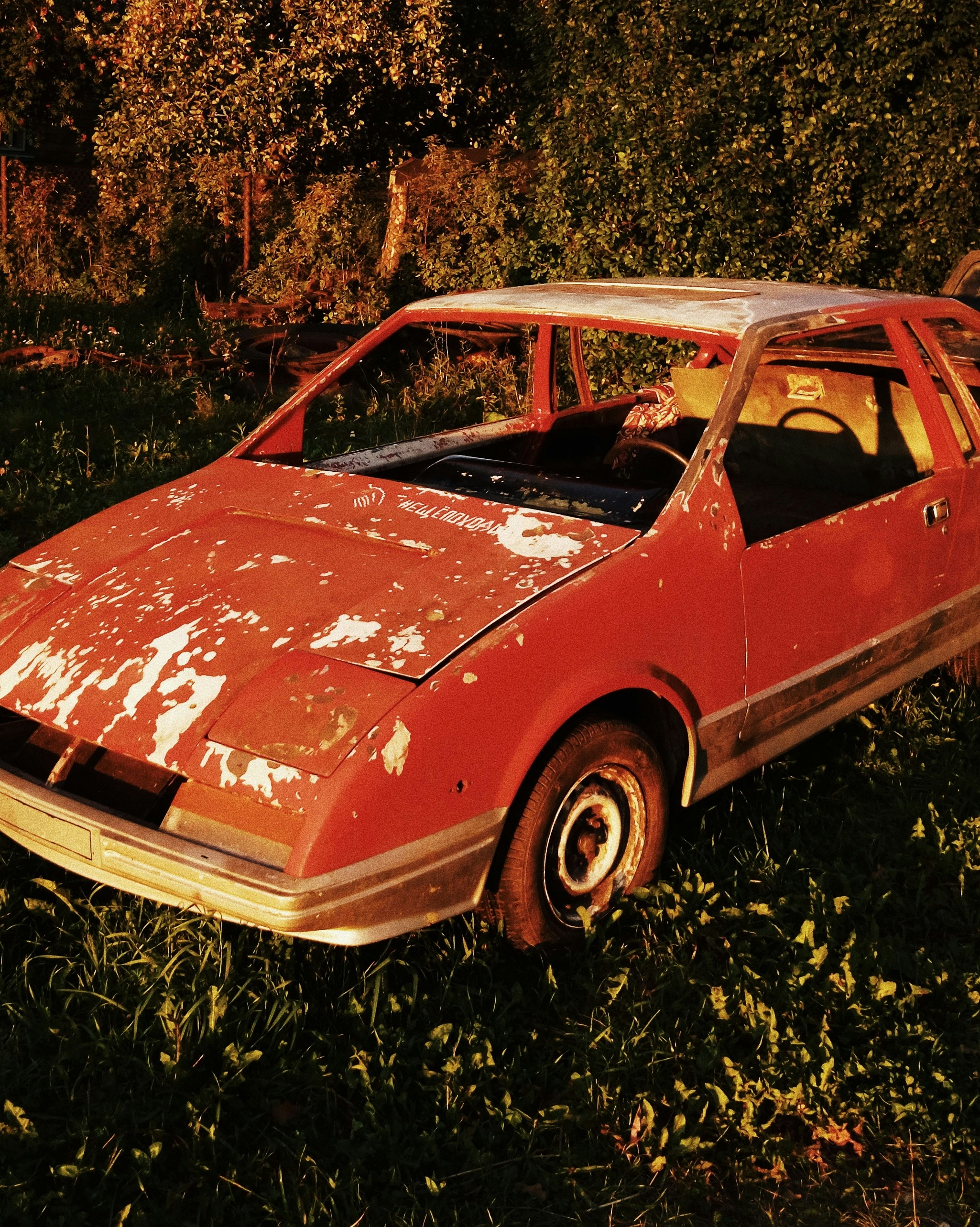 Volkswagen Beetle rojo estacionado en un campo de hierba verde durante el día