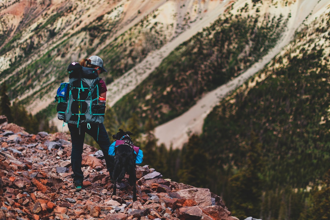 man in blue jacket and black pants with black dog on mountain during daytime