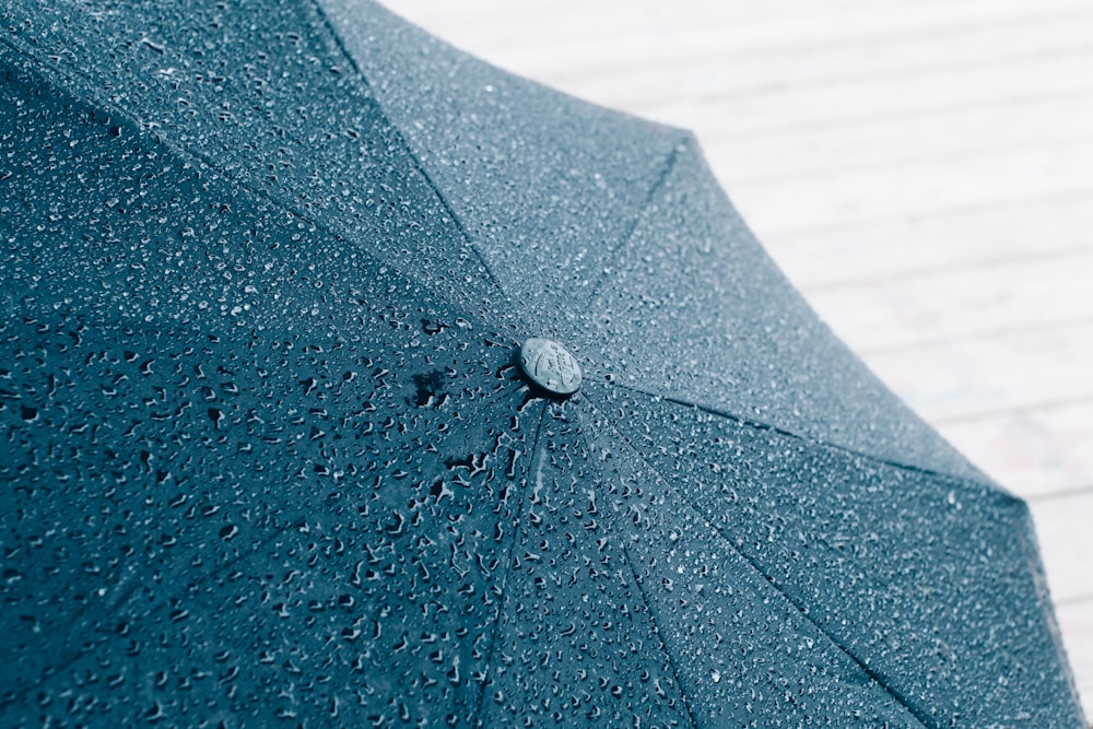 black umbrella covered with snow