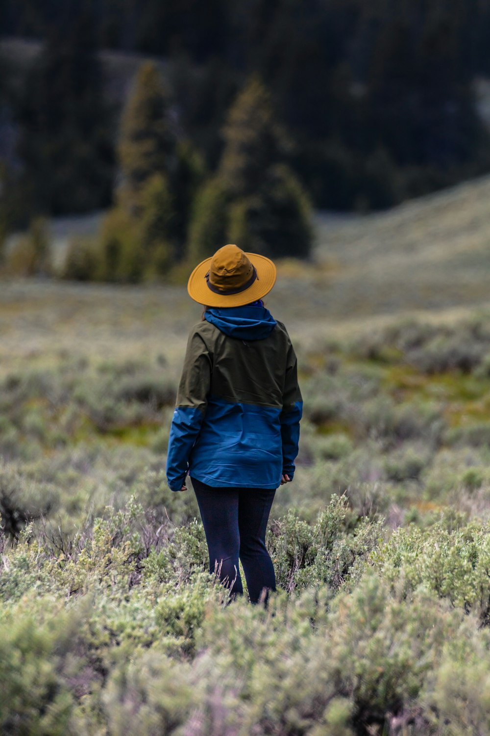 person in blue jacket and blue denim jeans wearing brown hat standing on green grass field