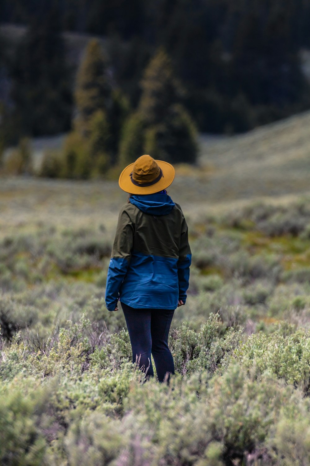 Persona in giacca blu e jeans blu in denim che indossa un cappello marrone in piedi sul campo di erba verde