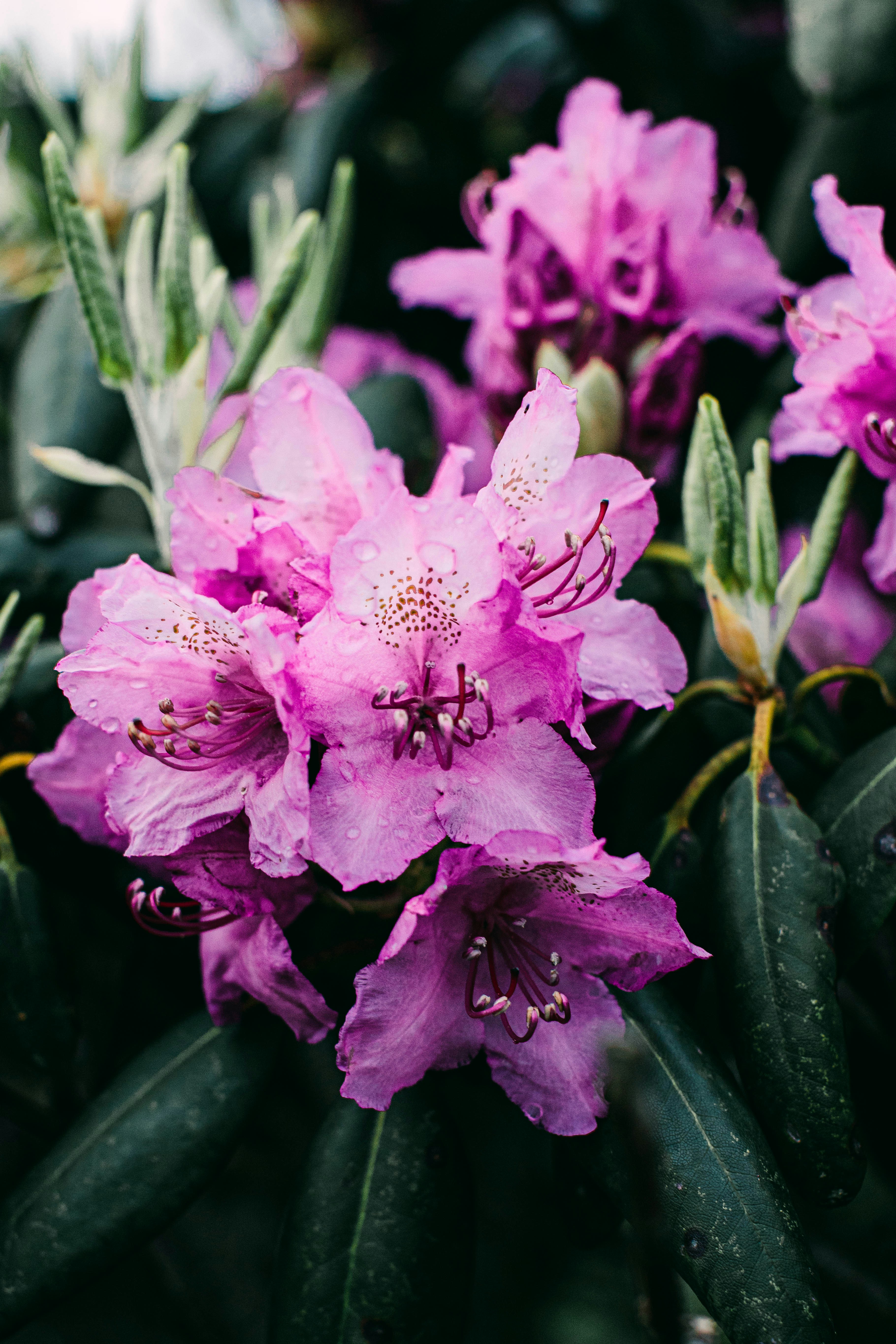 Photo by tabithaturnervisuals