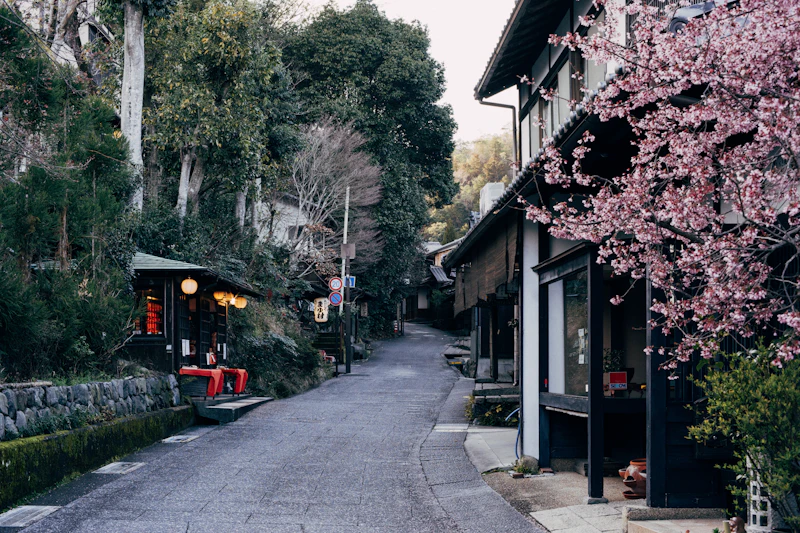 Best Affordable Bars in Matsuyama Where You Can Actually Afford a Round