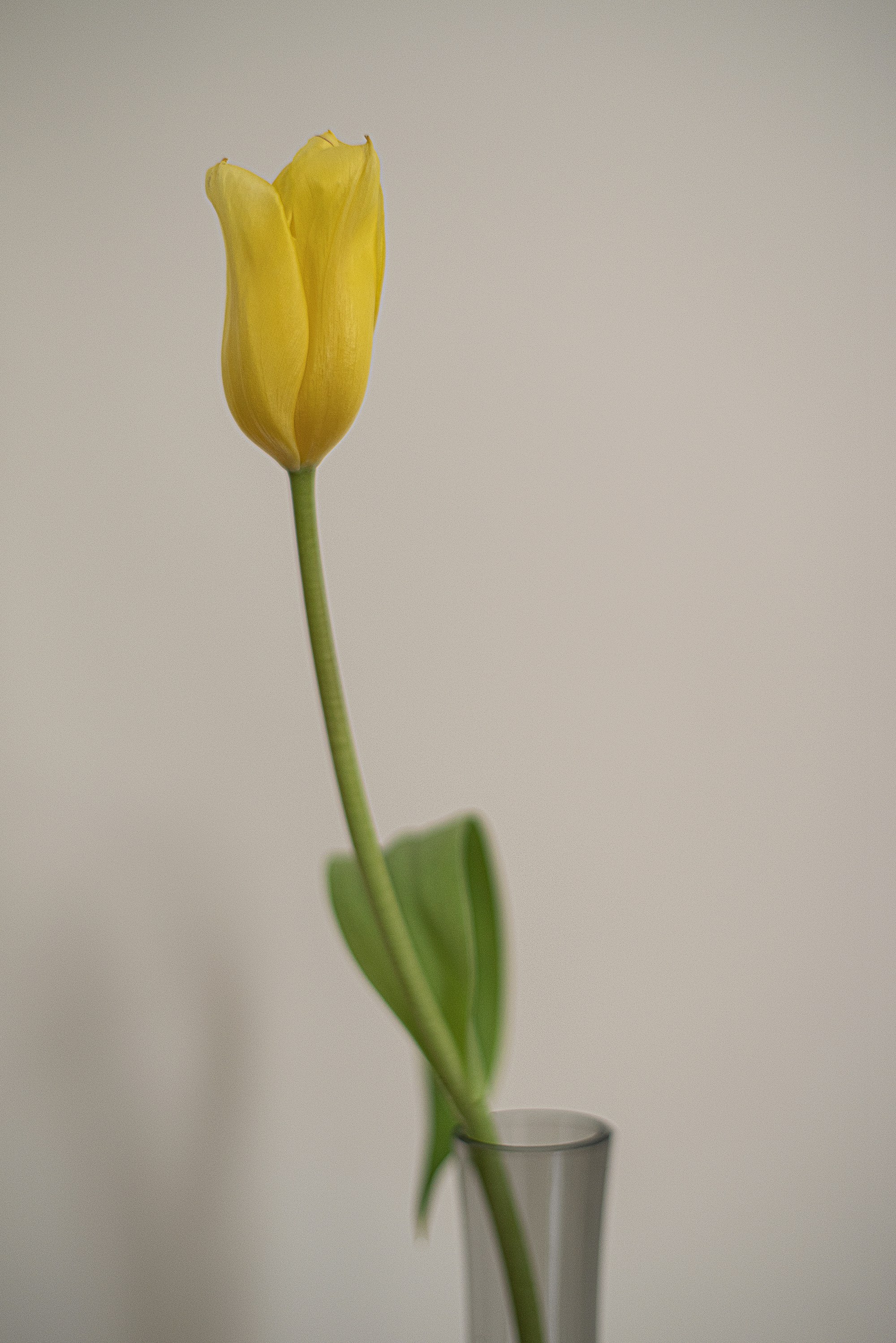 Photo by bigstarworkroom