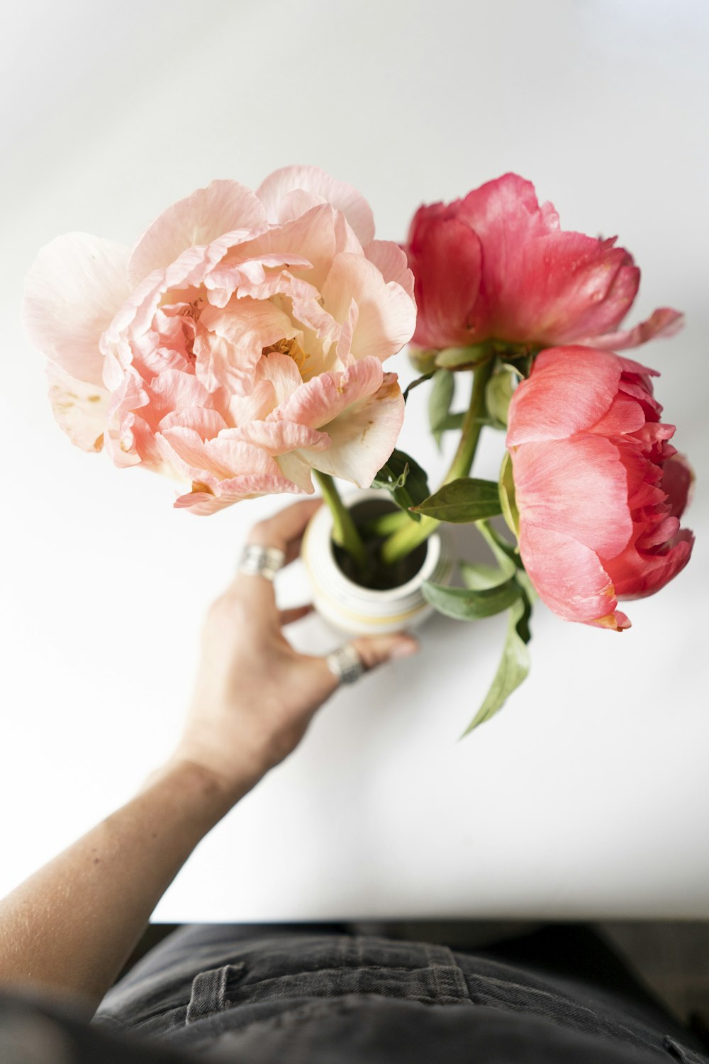 personne tenant des fleurs roses et blanches