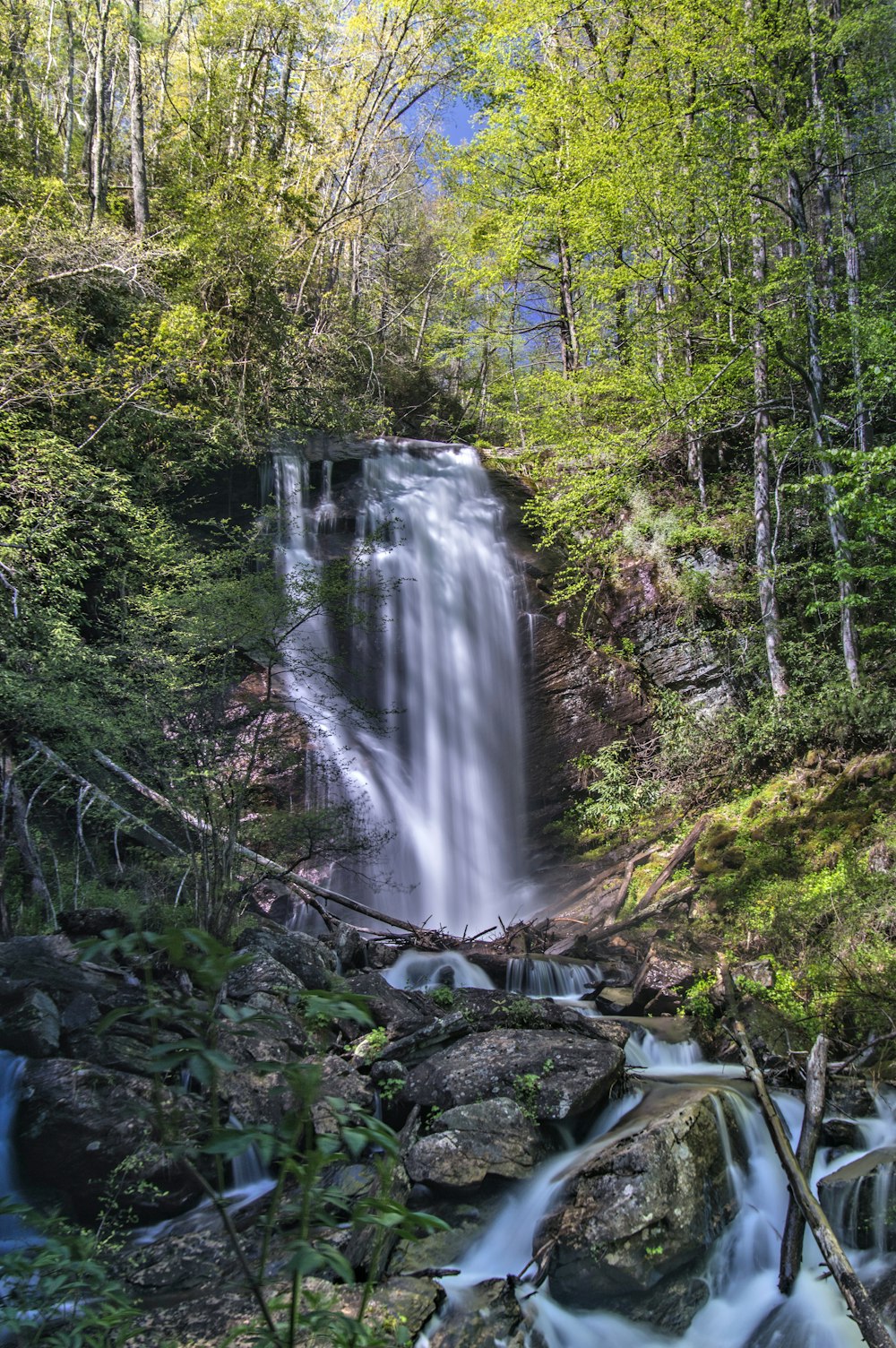 waterfalls in the middle of the forest