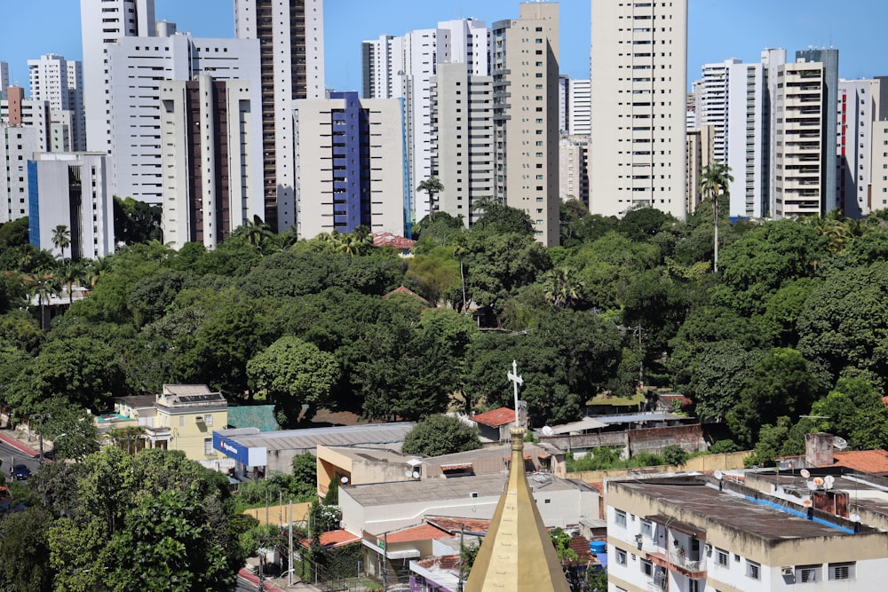 Edificios de gran altura cerca de árboles verdes durante el día