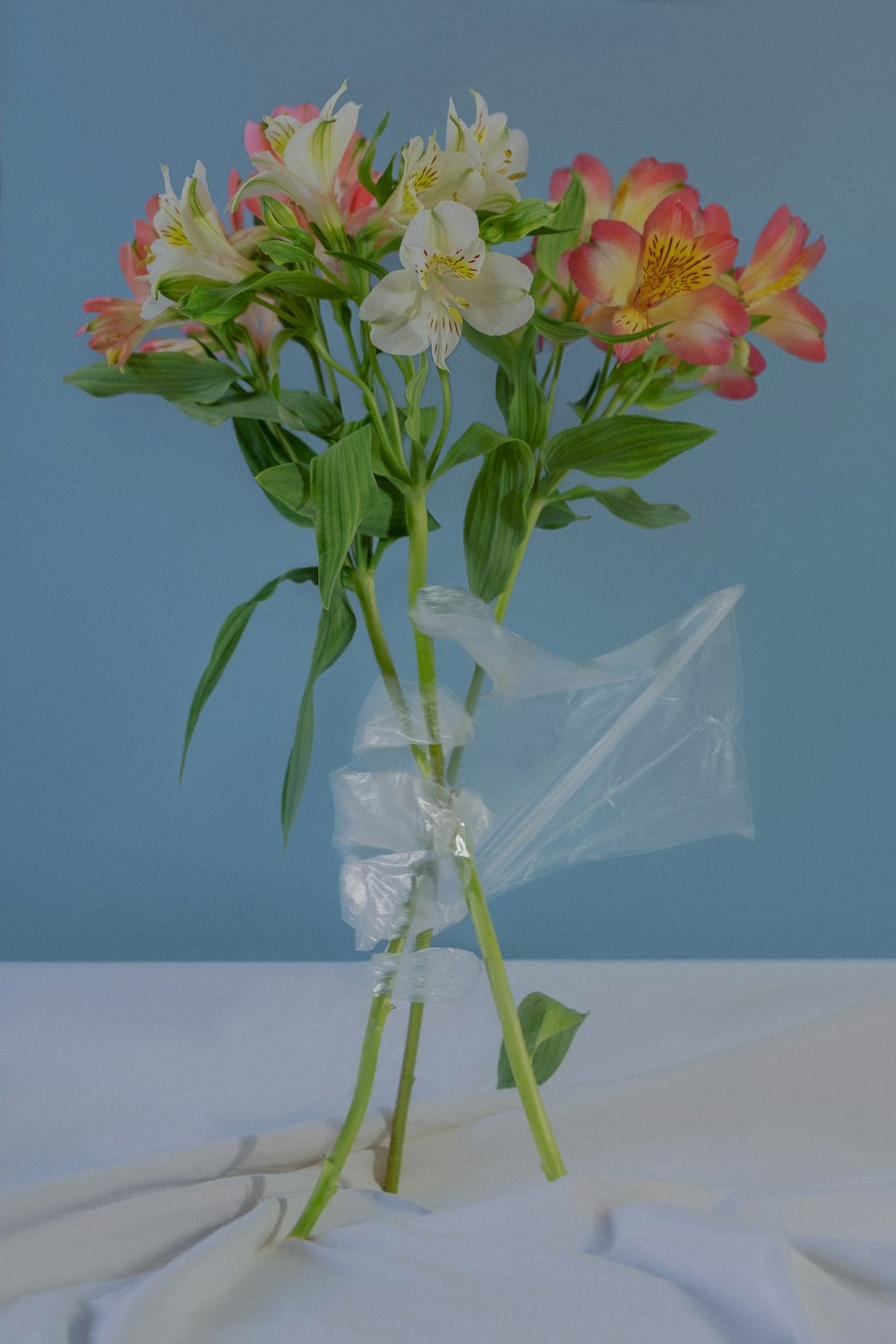 pink and yellow flowers on white table