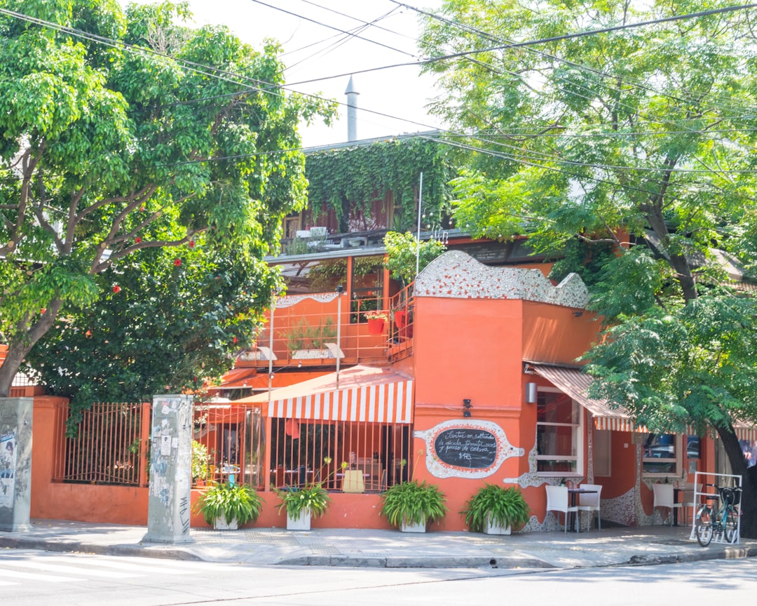 brown wooden house near green trees during daytime