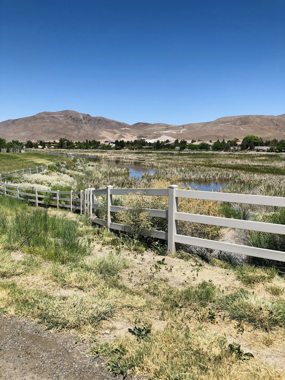 white wooden fence on green grass field near mountain under blue sky during daytime