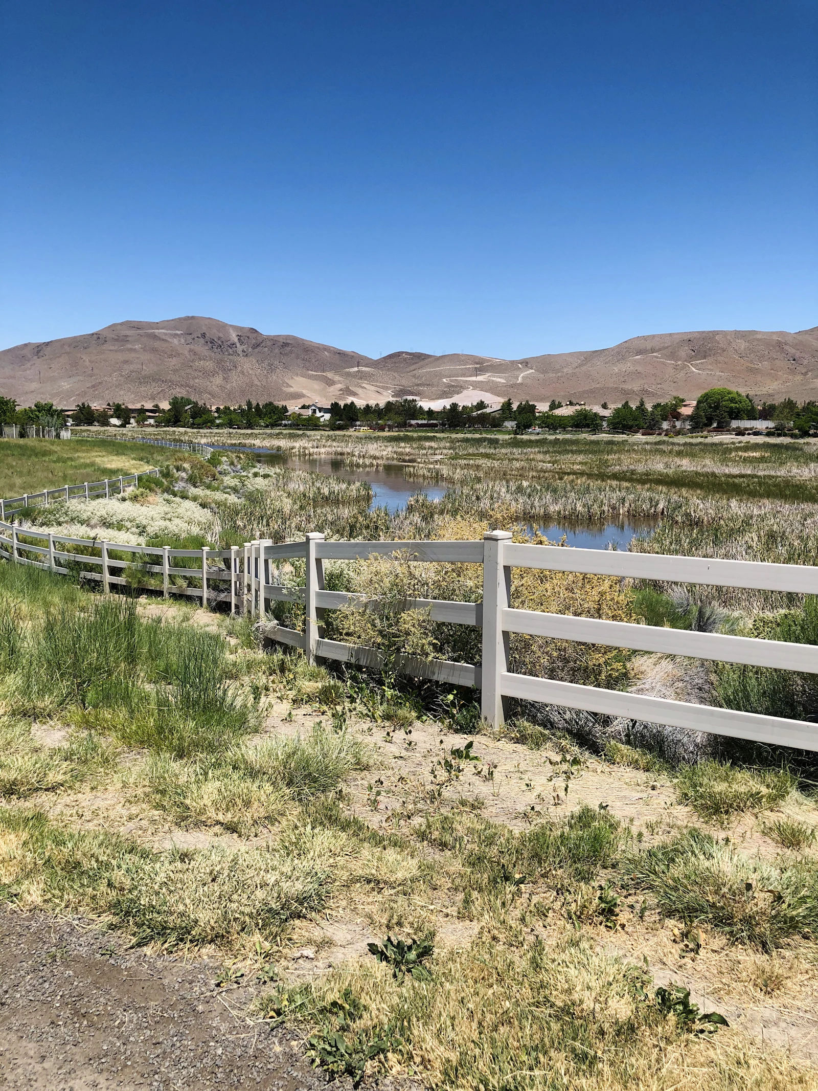 A white fence along irrigated fields below a mountain.