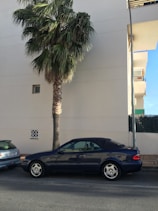 A dark convertible car is parked on a street under a tall palm tree. The building behind is minimalist with light-colored walls and a small window. Another car is partially visible on the left.