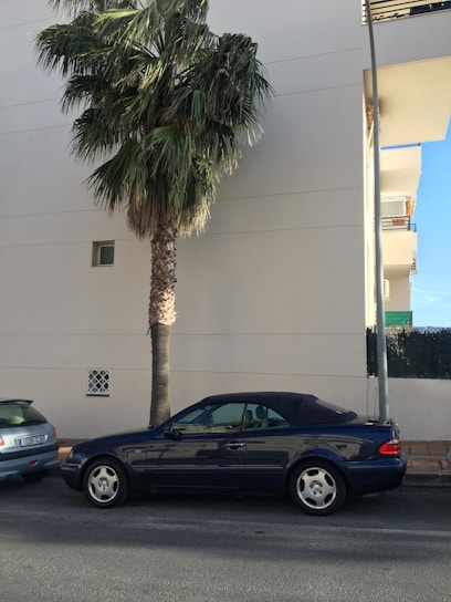 A dark convertible car is parked on a street under a tall palm tree. The building behind is minimalist with light-colored walls and a small window. Another car is partially visible on the left.