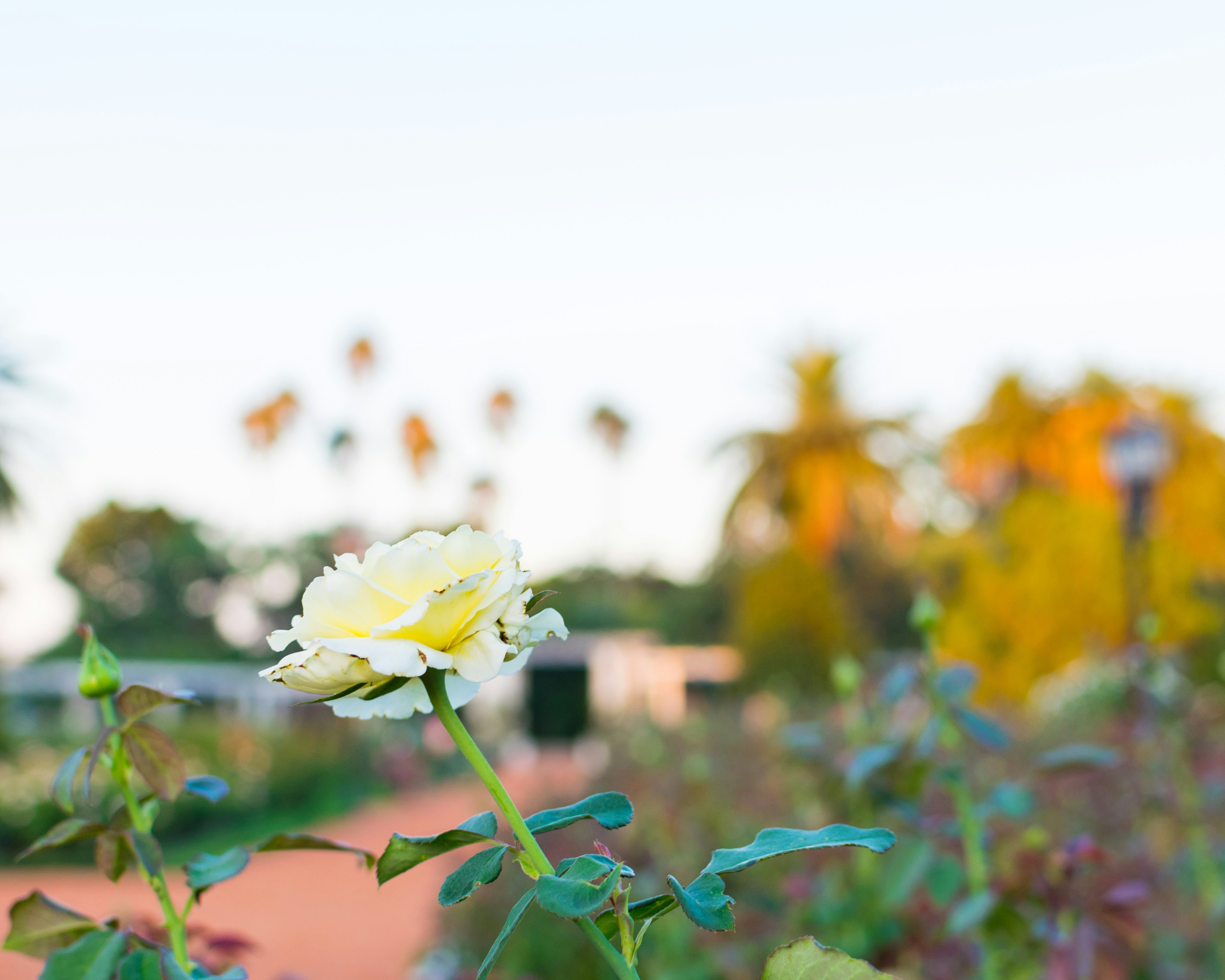 Photo by dapperprofessional