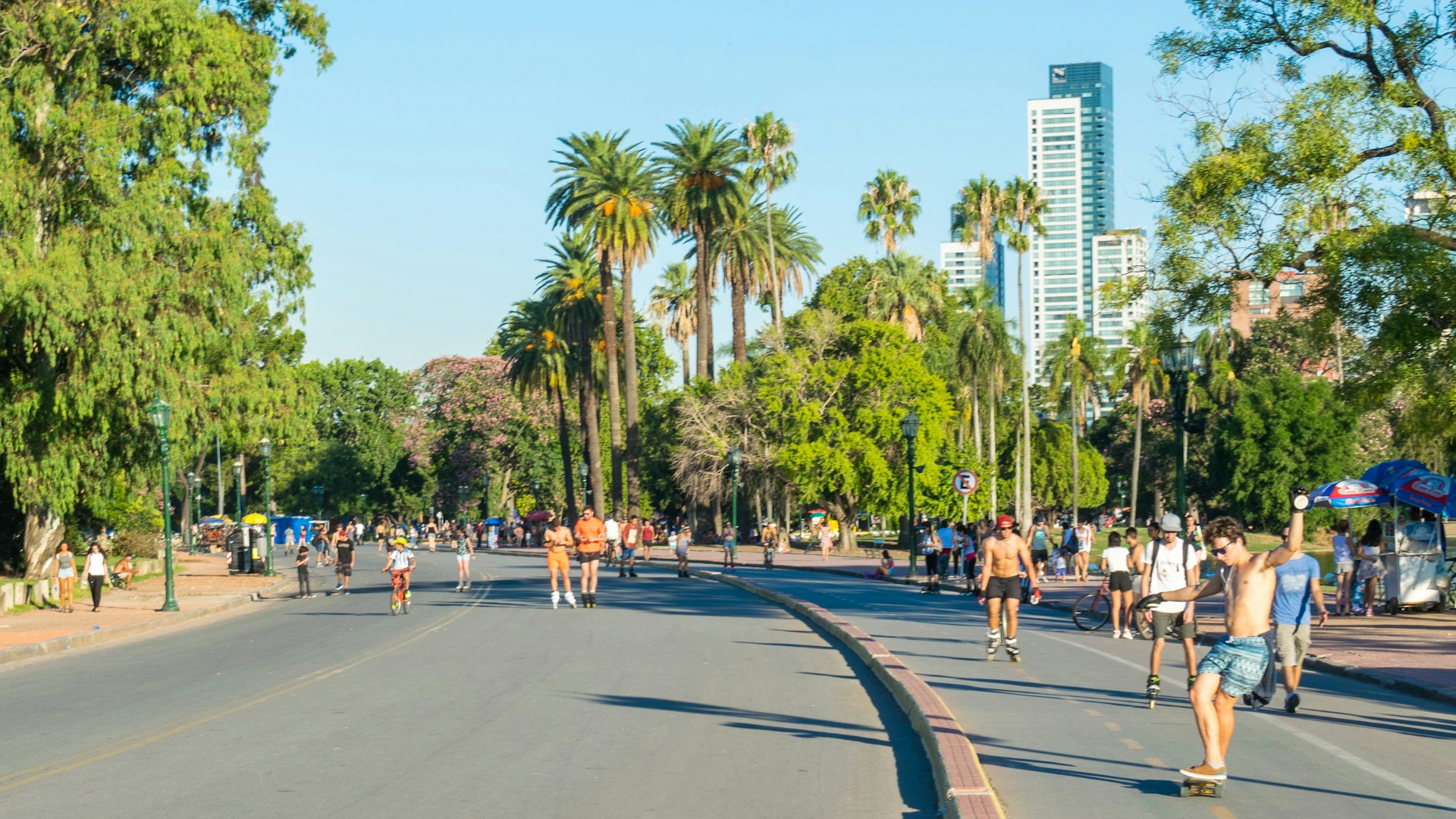 people walking on gray concrete road near green palm trees during daytime