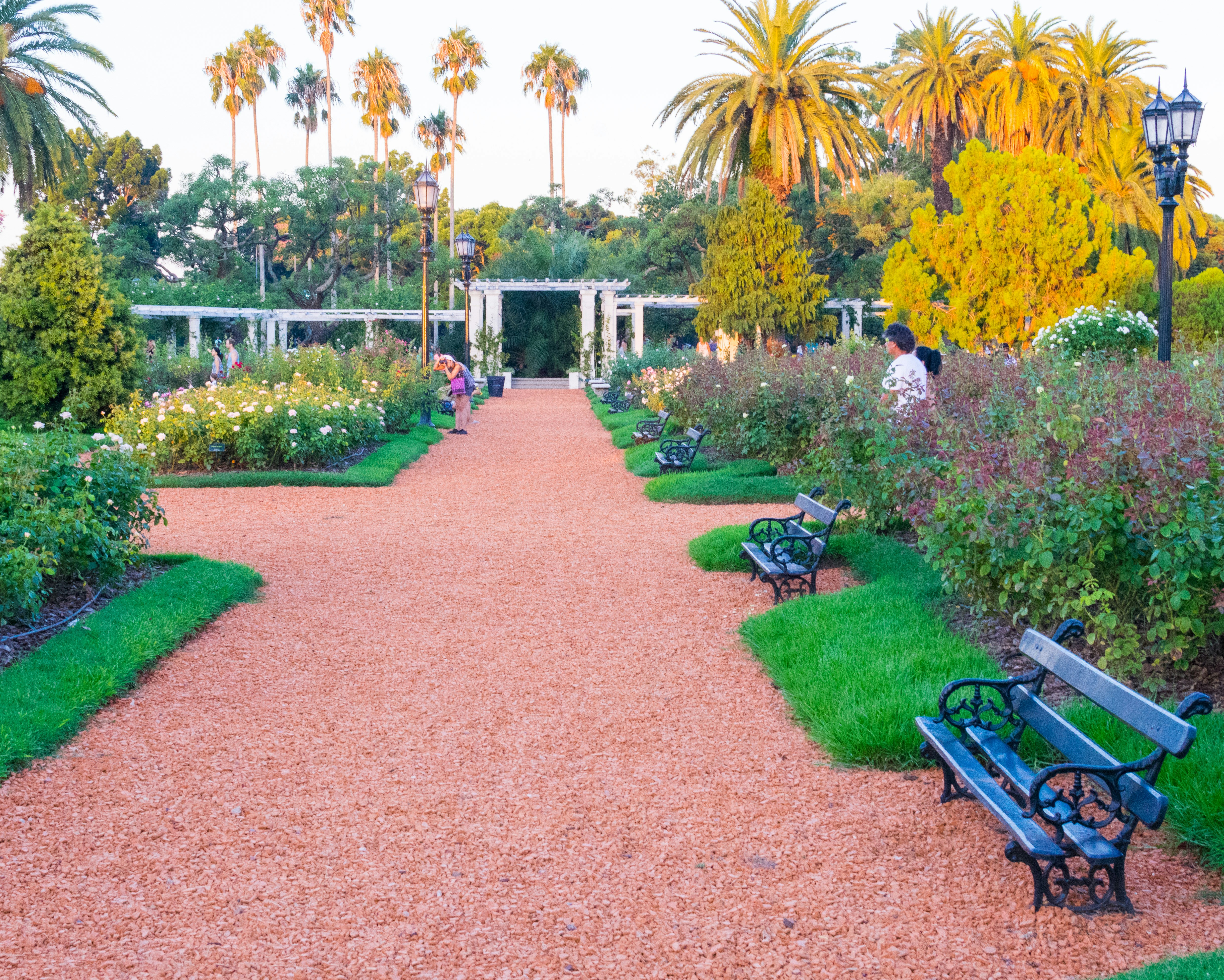 green wooden bench on green grass field during daytime