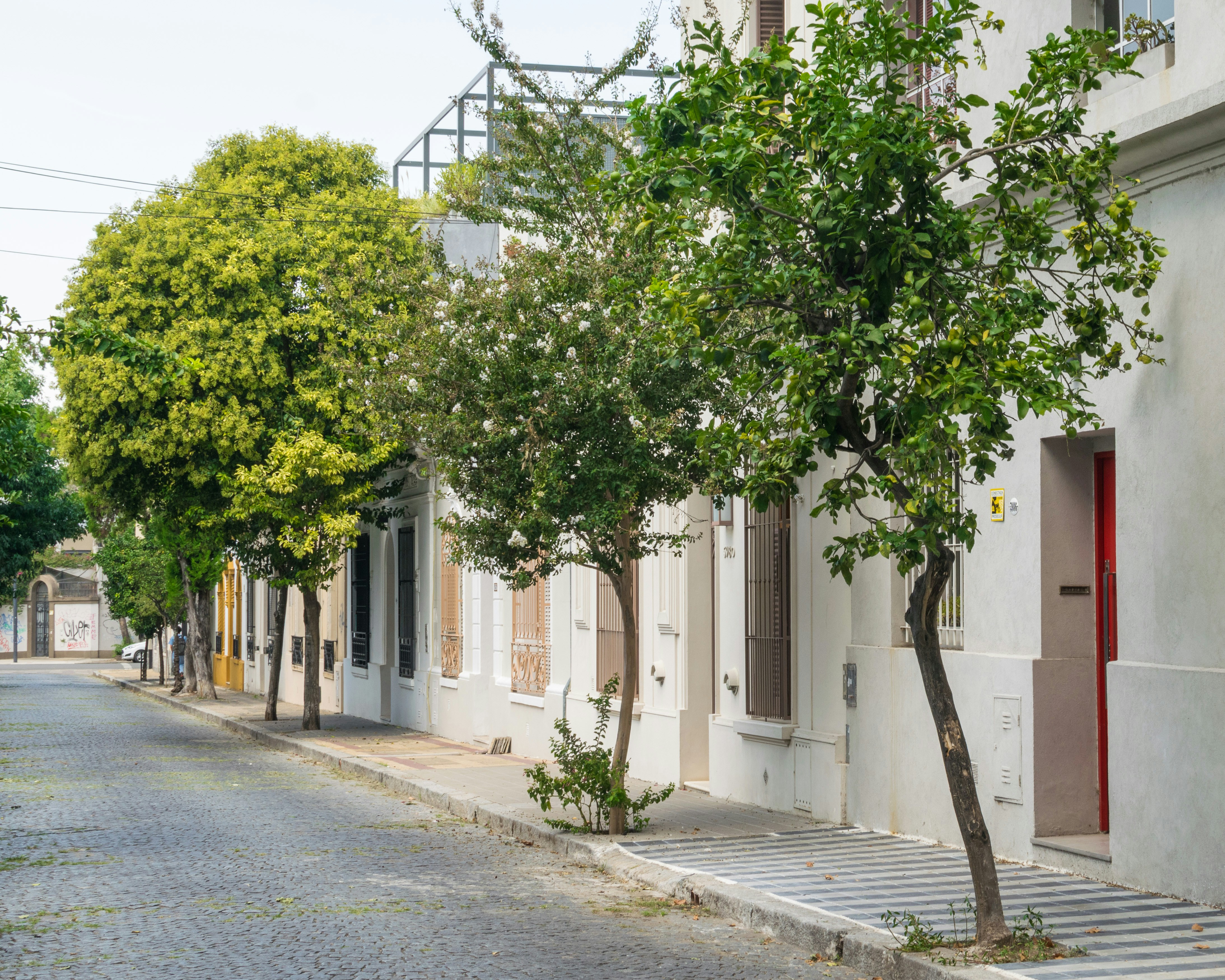 Photo by dapperprofessional