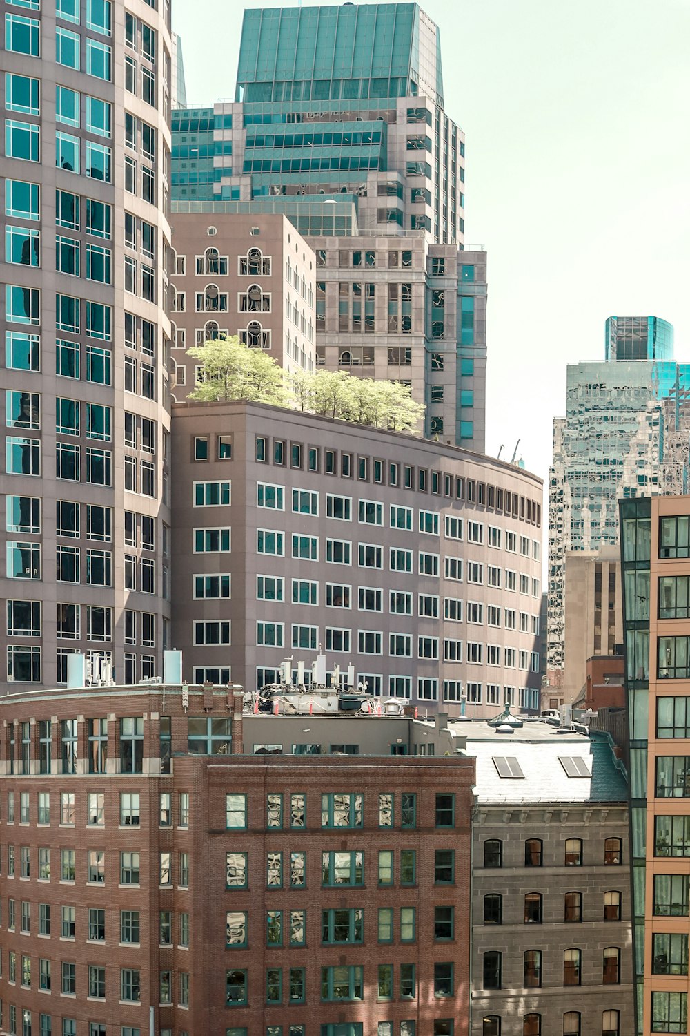 brown and white concrete buildings during daytime