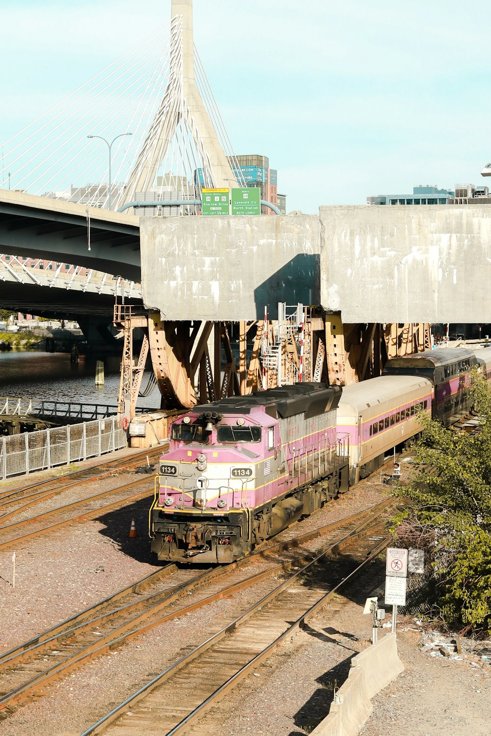 red and white train on rail during daytime