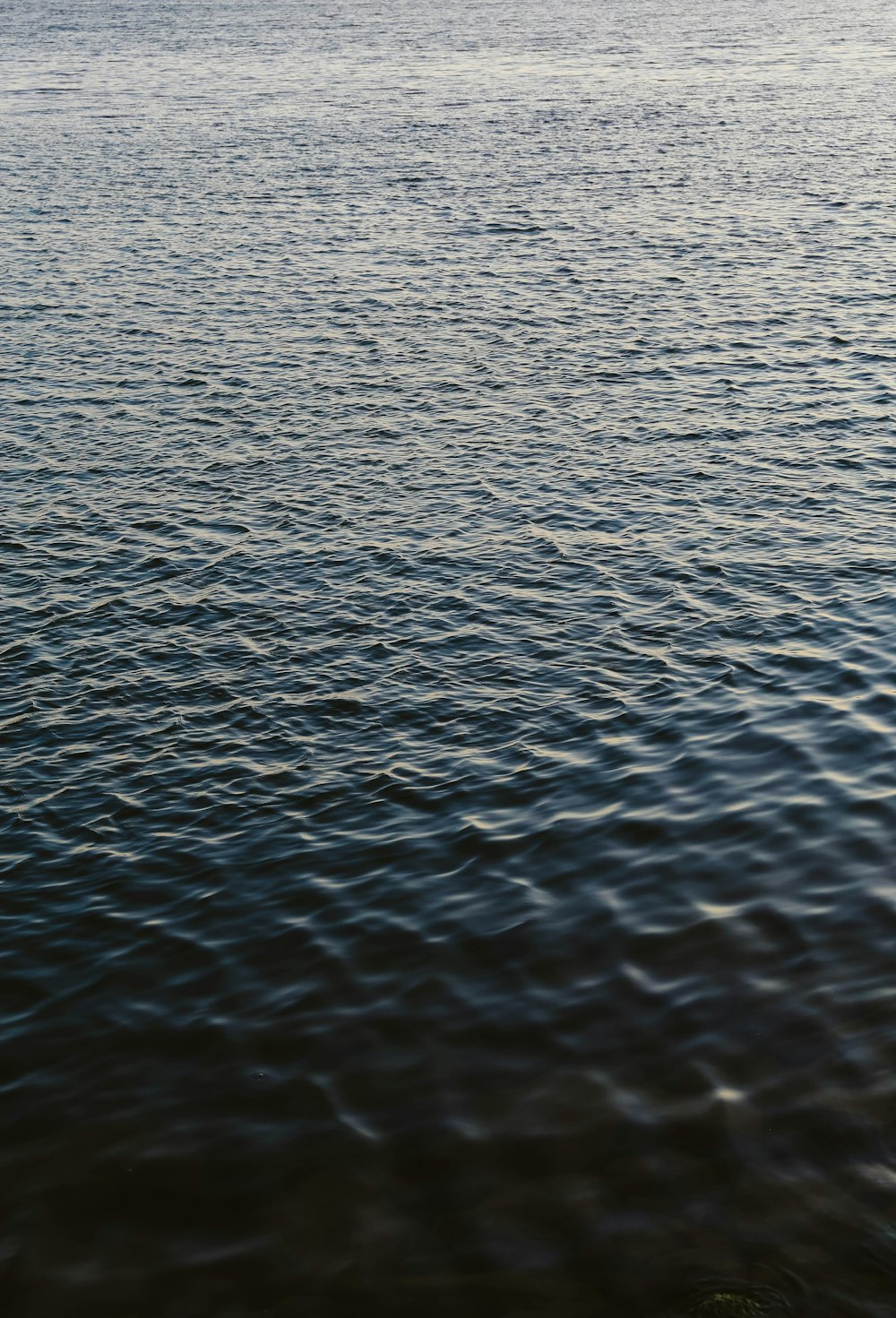 body of water during daytime