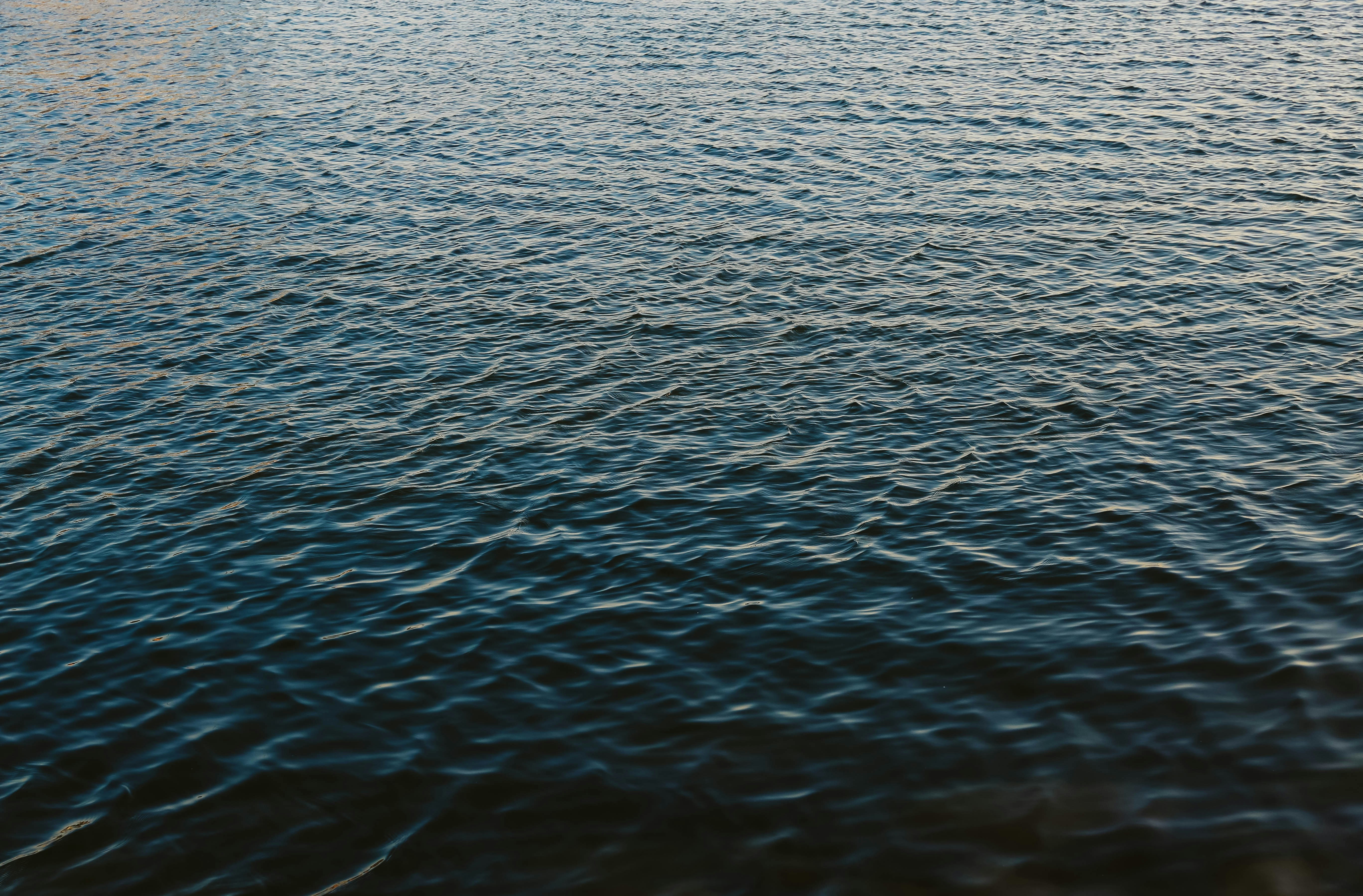 Photo by cullenjonez