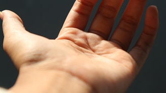 A close-up of a hand being examined with palm lines visible under natural light.