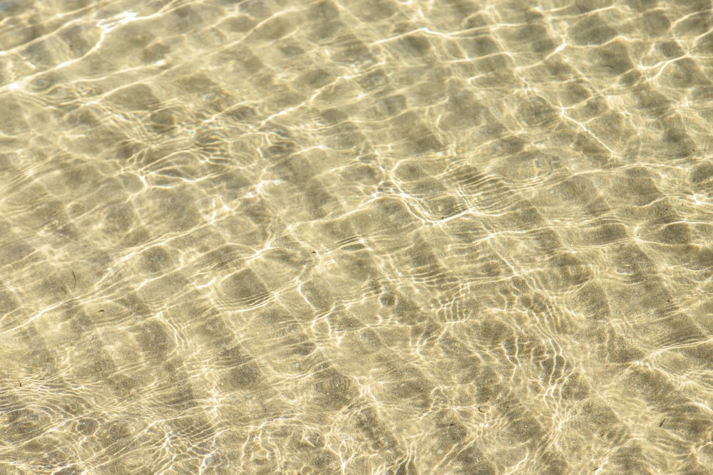 close up photo of brown sand