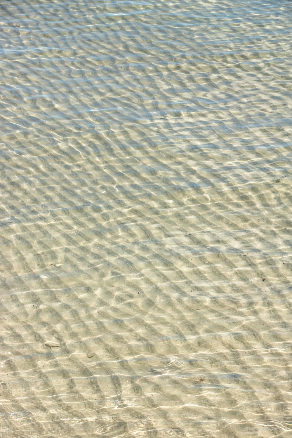 person in black shoes standing on brown sand