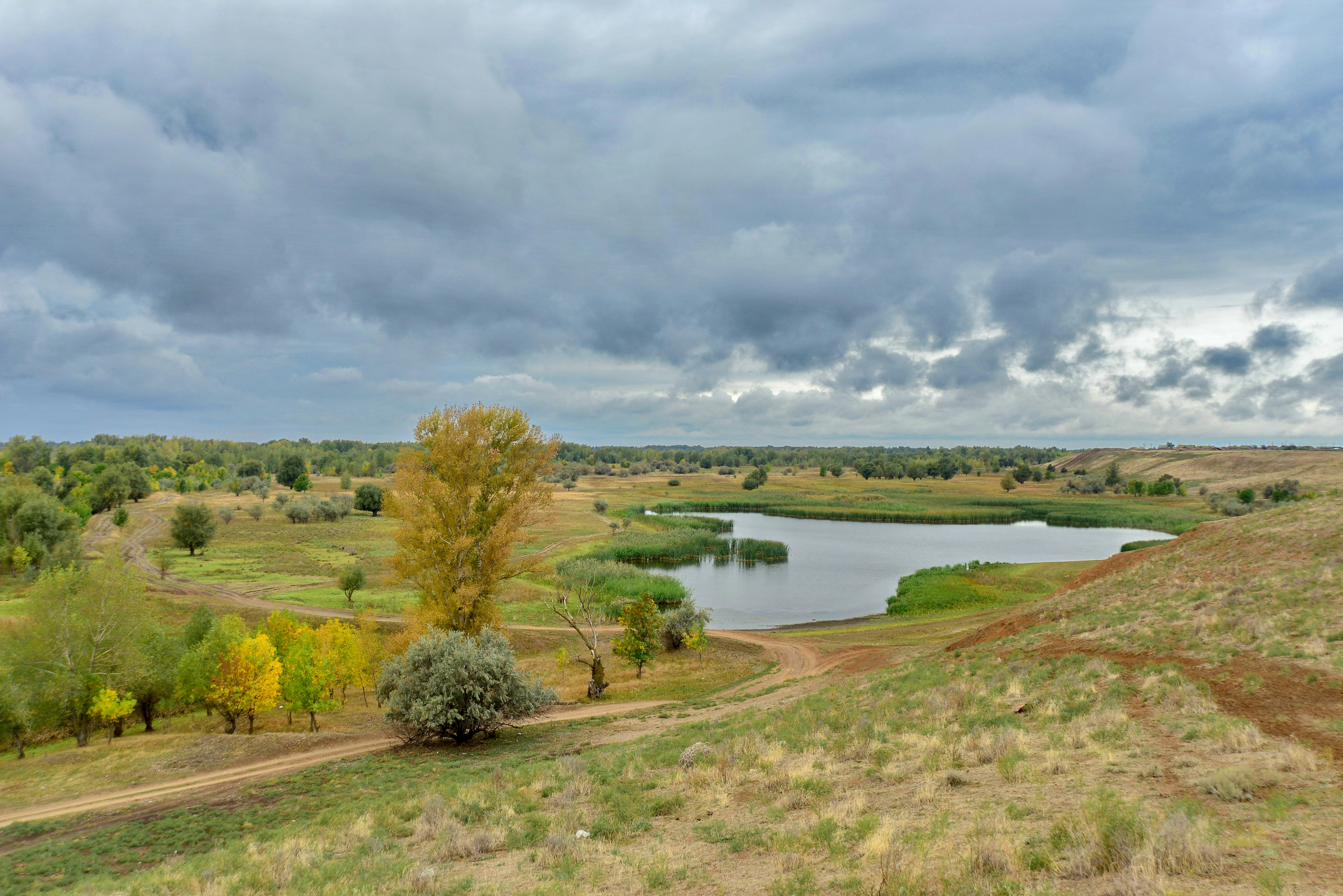 photo by Sergey Semin (@feneek) on unsplash