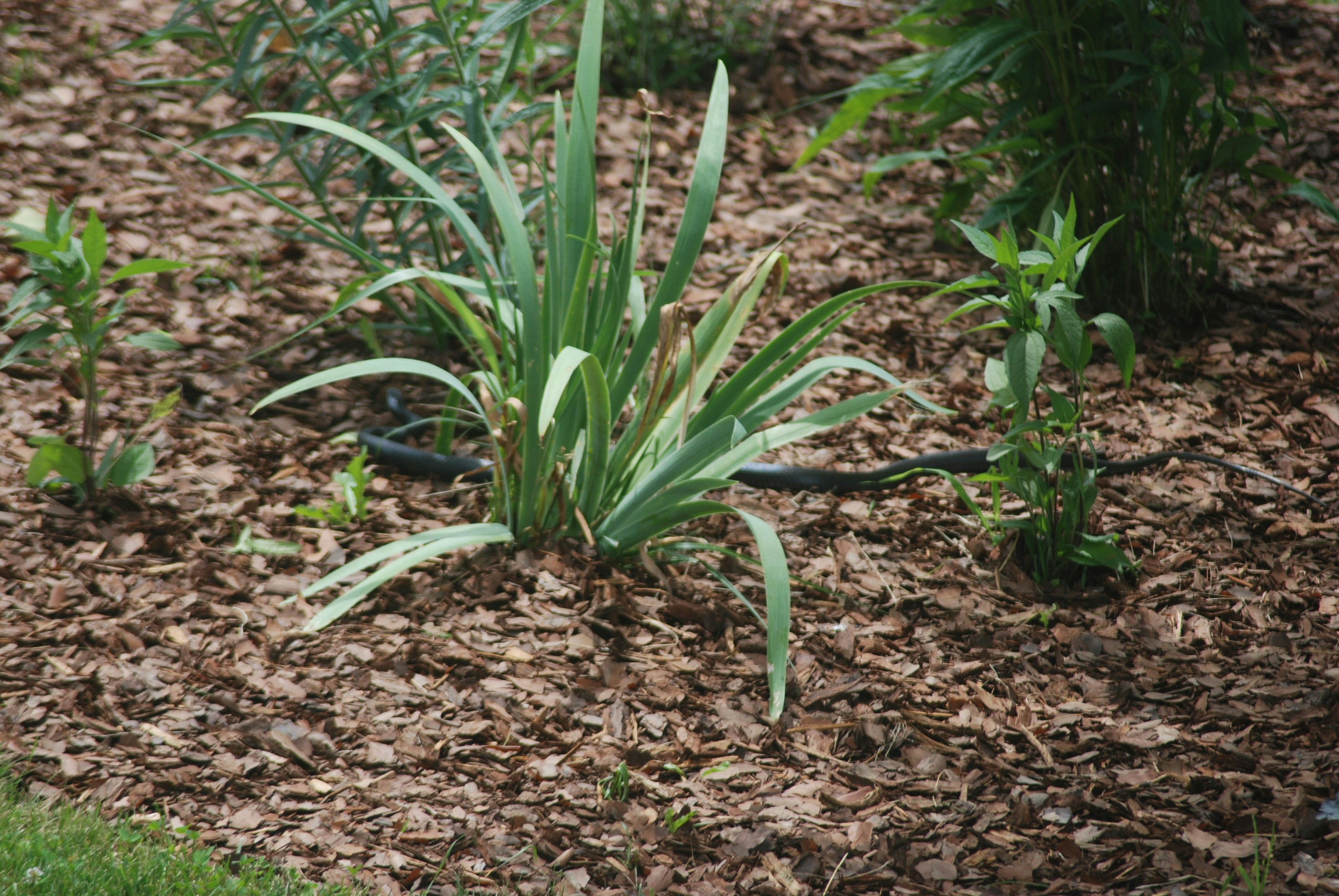 Premium Horticultural Supplies