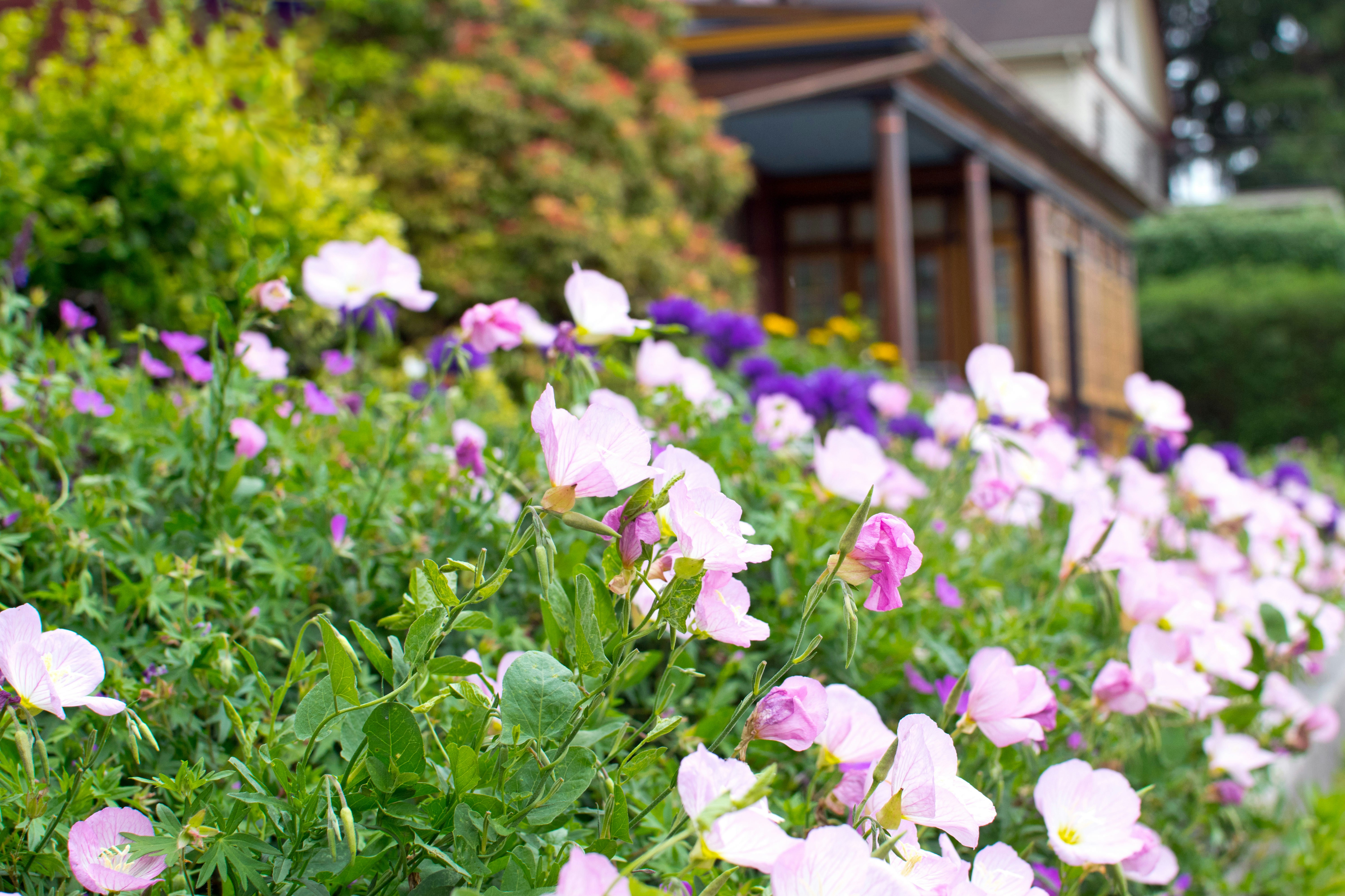 Photo by dapperprofessional