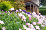 A cozy house with a welcoming porch and vibrant garden flowers.