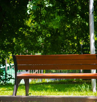 brown wooden bench near green trees during daytime