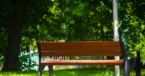 brown wooden bench near green trees during daytime