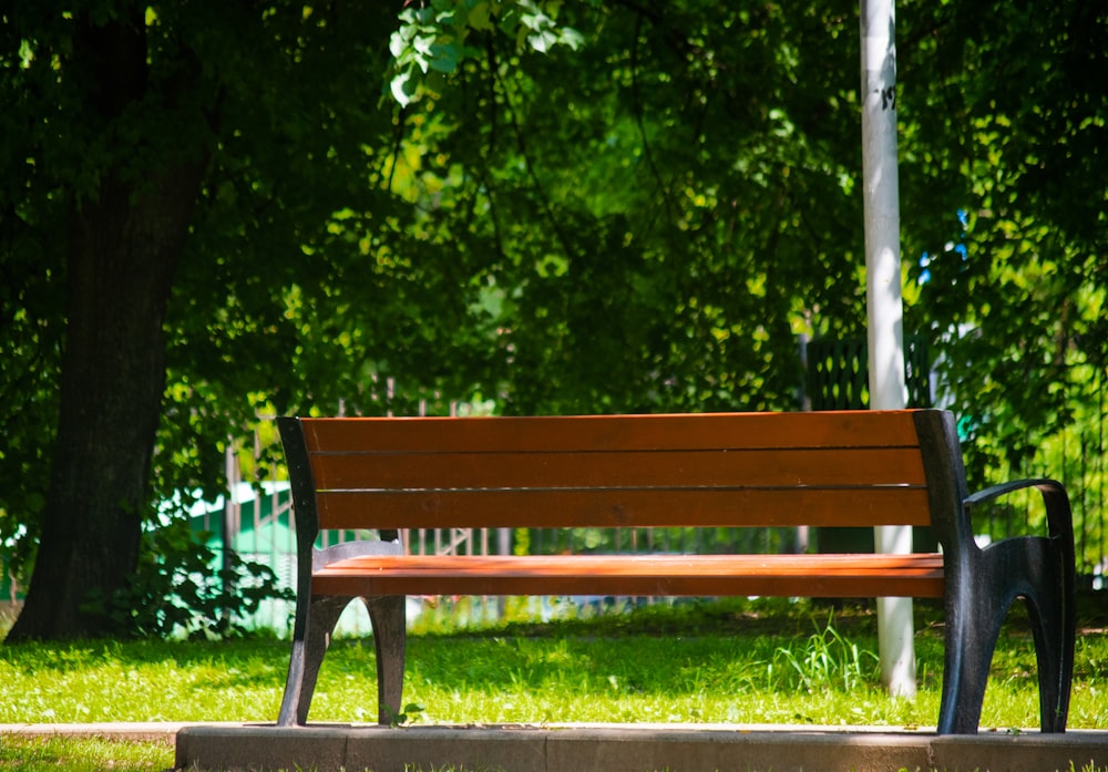 brown wooden bench near green trees during daytime