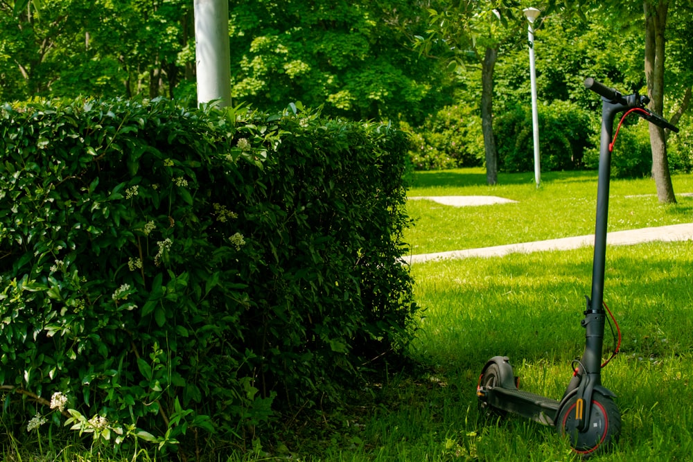 green grass field with green trees during daytime