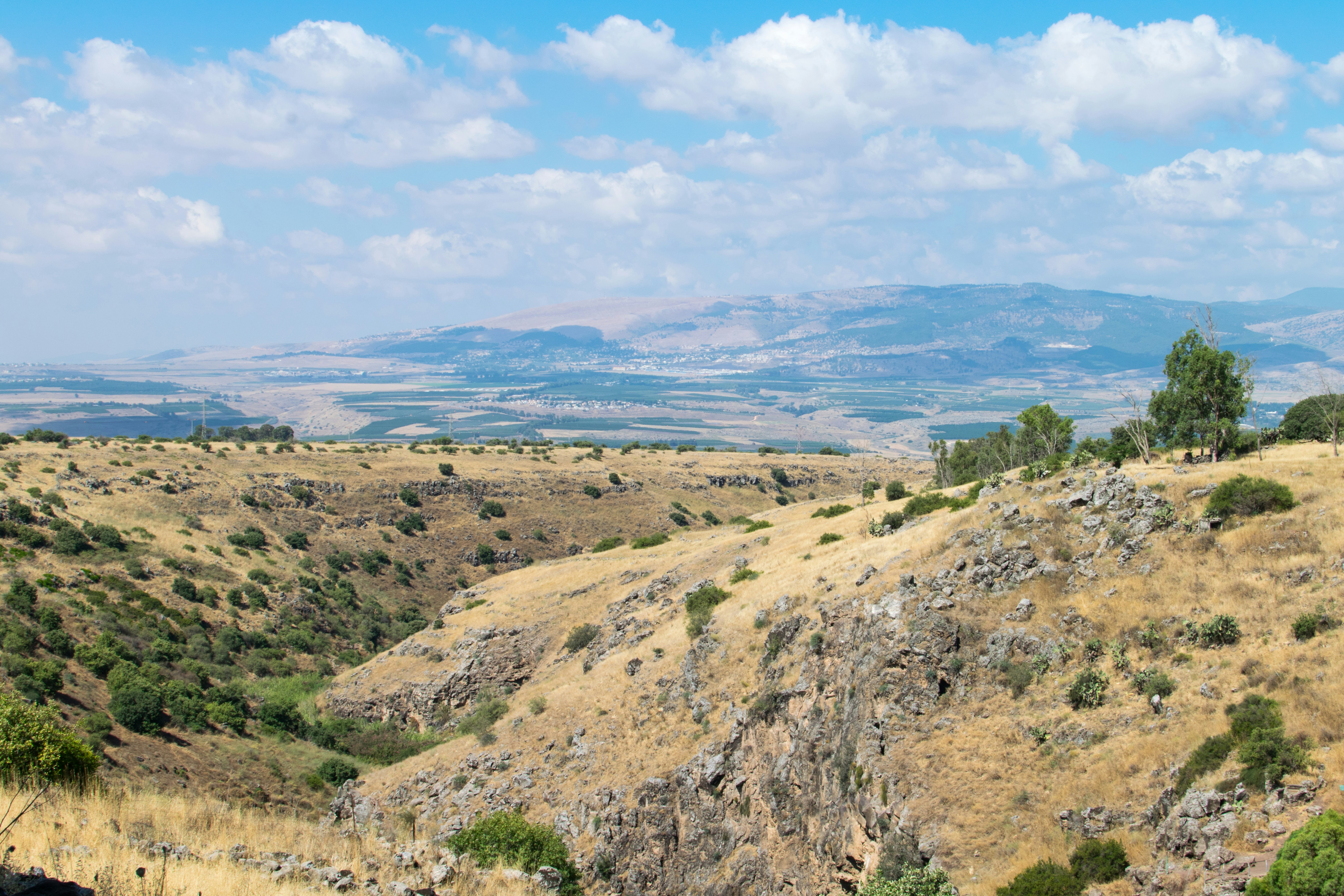 Photo by dapperprofessional